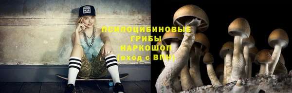 спайс Вяземский