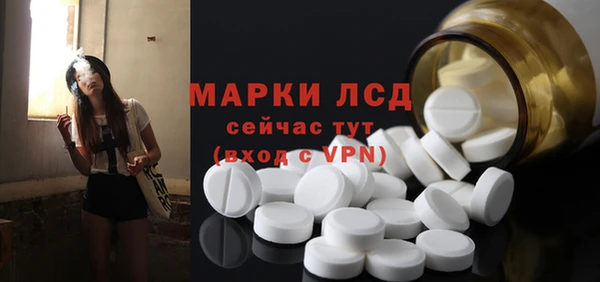спайс Вяземский