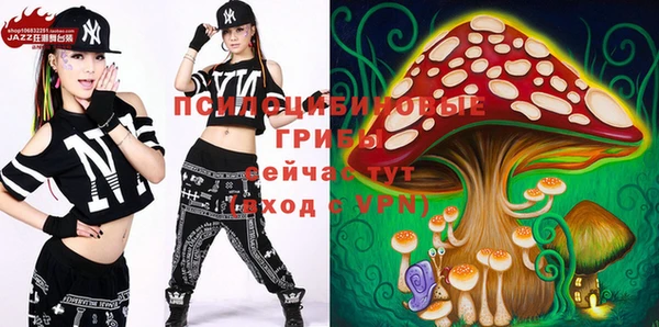 спайс Вяземский