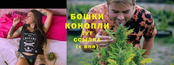 МДПВ Вязьма