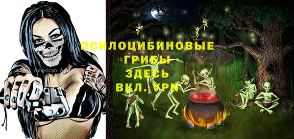 МДПВ Вязьма