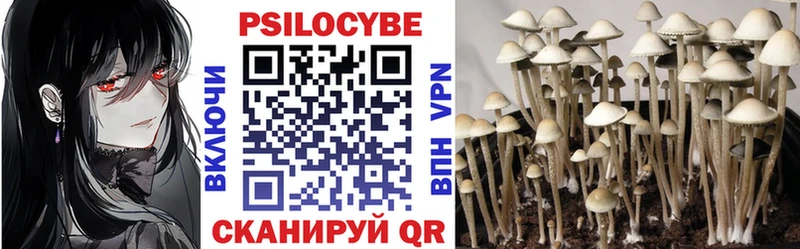 Купить закладки  Клинцы  Псилоцибиновые грибы прущие грибы 